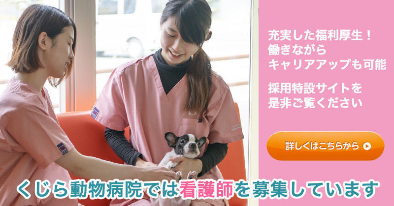 岡崎市の動物病院、くじら動物病院